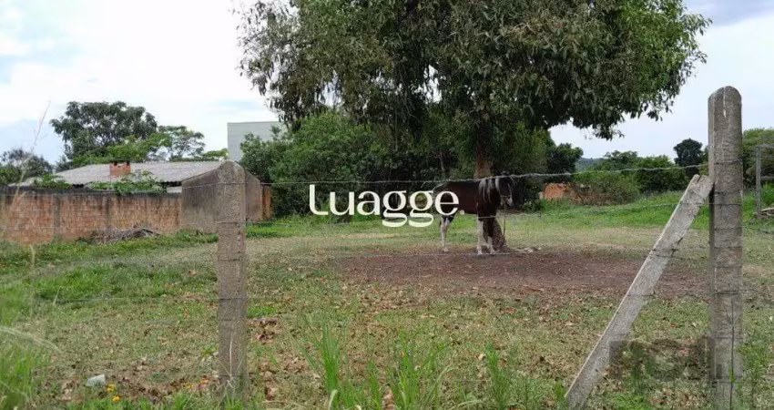 Terreno à venda na Rua Oito Mil e Dezessete, 74, Lageado, Porto Alegre