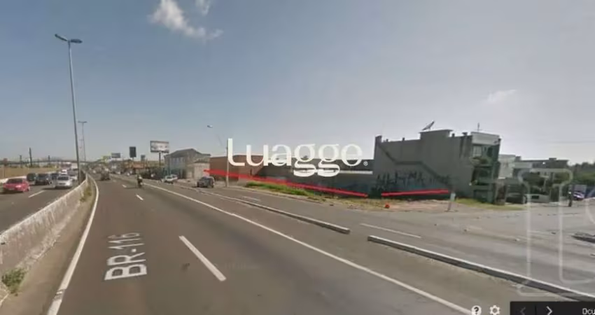Terreno para locação/aluguel - 0m², 0 dormitórios, igara