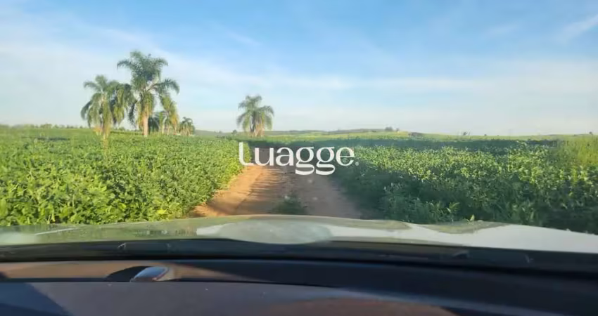 Chácara / sítio com 3 quartos à venda na Osvaldo Aranha BR 290, 226, Medianeira, Eldorado do Sul
