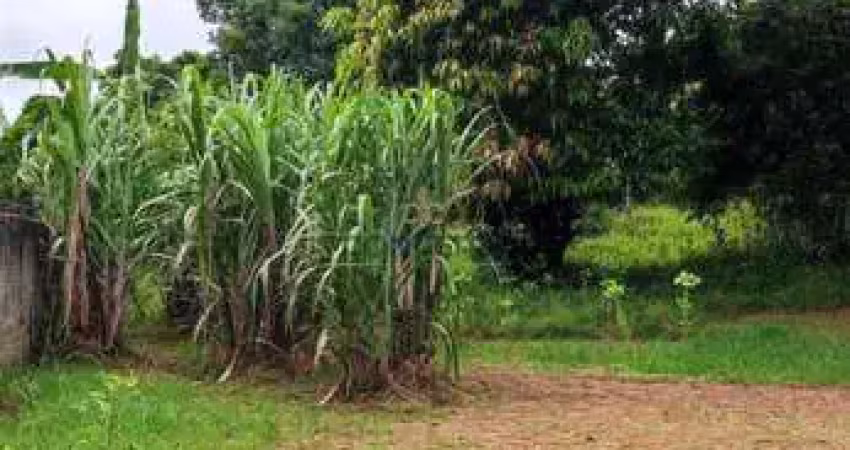 Terreno à venda na Servidão Biguá, s/n, Capoeiras, Florianópolis