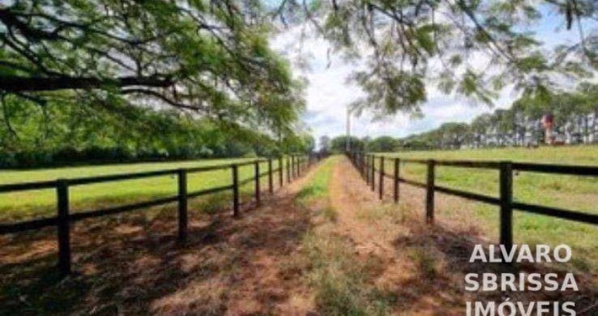Haras com 3 dormitórios à venda, 798600 m² por R$ 18.900.000,00 - Chapadão - Porto Feliz/SP