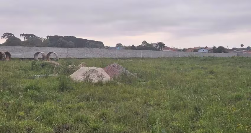 Terreno para locação em são josé dos pinhais, rio pequeno