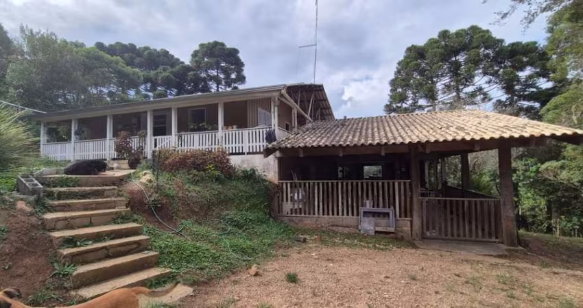 Chácara para Venda em São José dos Pinhais, Capão Grosso, 3 dormitórios, 1 banheiro