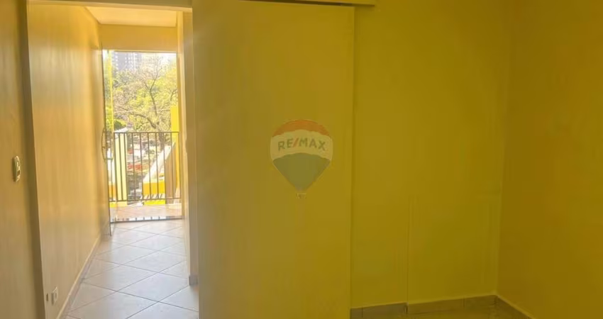 Casas  Lapa