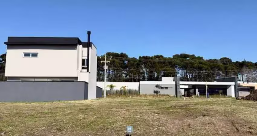 Terreno à venda na DOS PINTASSILGOS 130, 130, Aviação, São José dos Pinhais