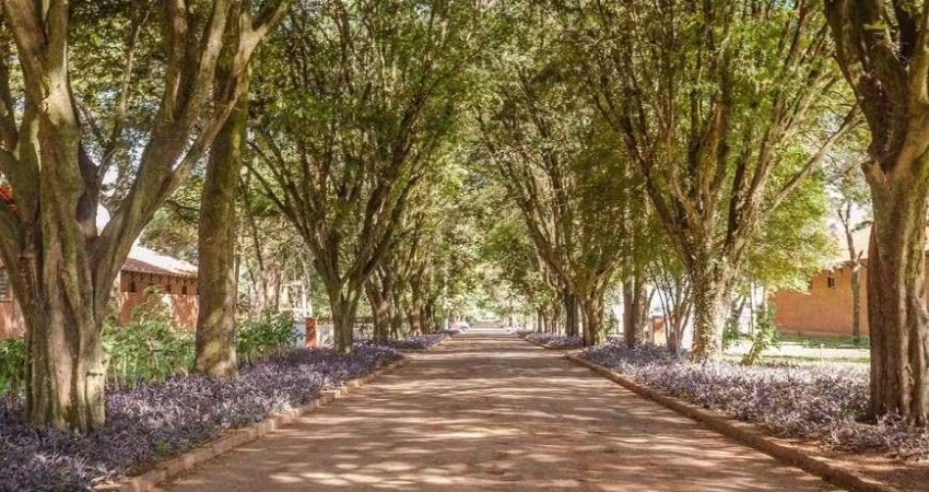 Lote/Terreno para venda com 880 metros quadrados em Residencial Haras Patente - Jaguariúna - SP