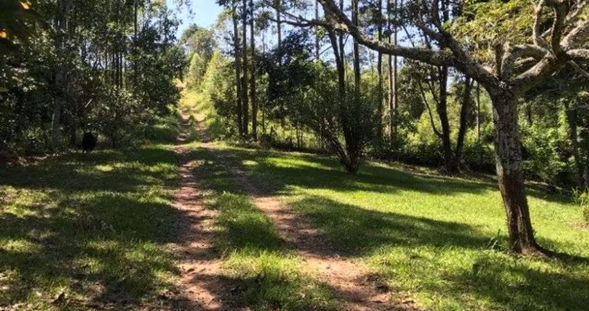 Sítio para venda em Iara em Atibaia - SP.