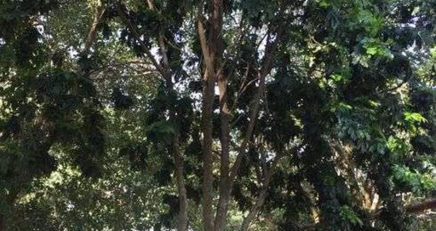 Chácara para venda no Chácaras Carolinas em Itu - SP.