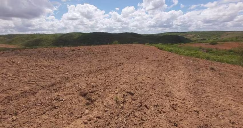 Sítio localizado no Municípo Sítio do Quinto/BA