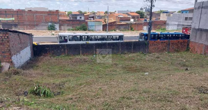 Venda - Área Excepcional para Investimento no Dom Luciano: 15 Edificações e Alto Potencial de Renda
