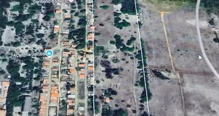 VENDA - Oportunidade Única: Sítio Flexeira no Jatobá - Barra dos Coqueiros!