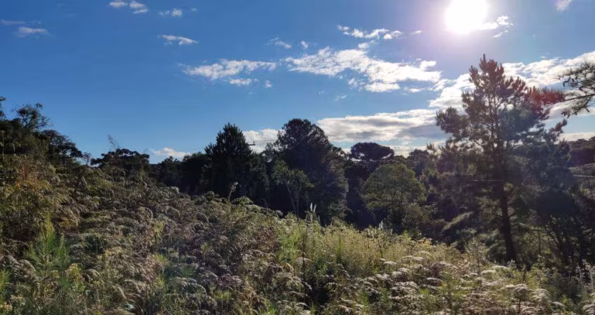 Terreno à venda no Bairro Morada da Serra com 636 m² de área privativa