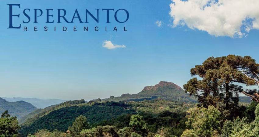 Terreno à venda no Bairro Várzea Grande com 359 m² de área privativa
