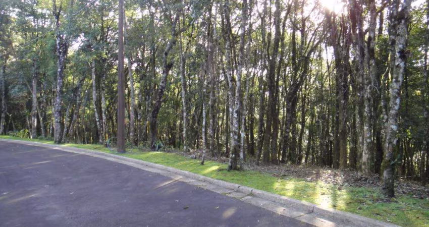 Terreno à venda no Bairro Vila Nova de Gaia com 800 m² de área privativa
