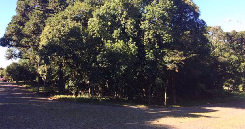 Terreno à venda no Bairro Vila Suzana com 1622 m² de área privativa