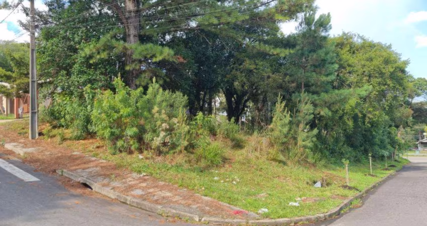 Terreno à venda no Bairro São Rafael com 593 m² de área privativa