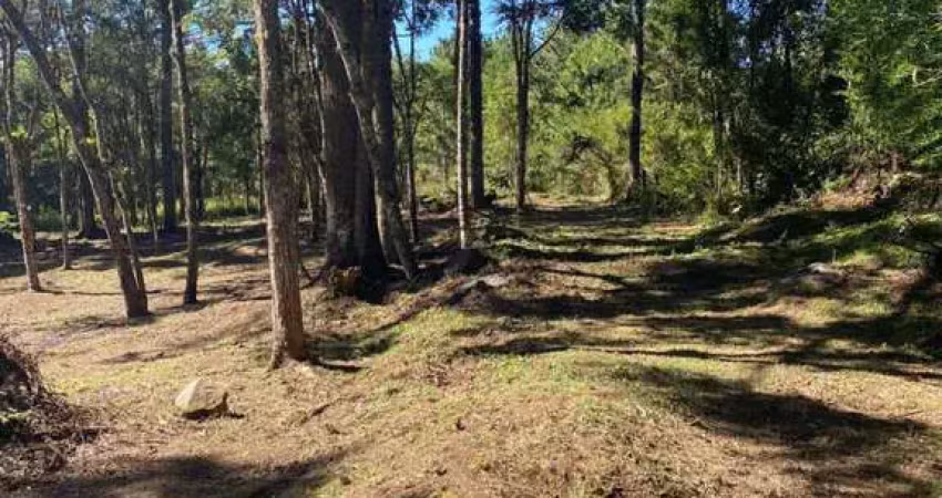 Area de terra à venda no bairro carniel com 14000 m² de área privativa