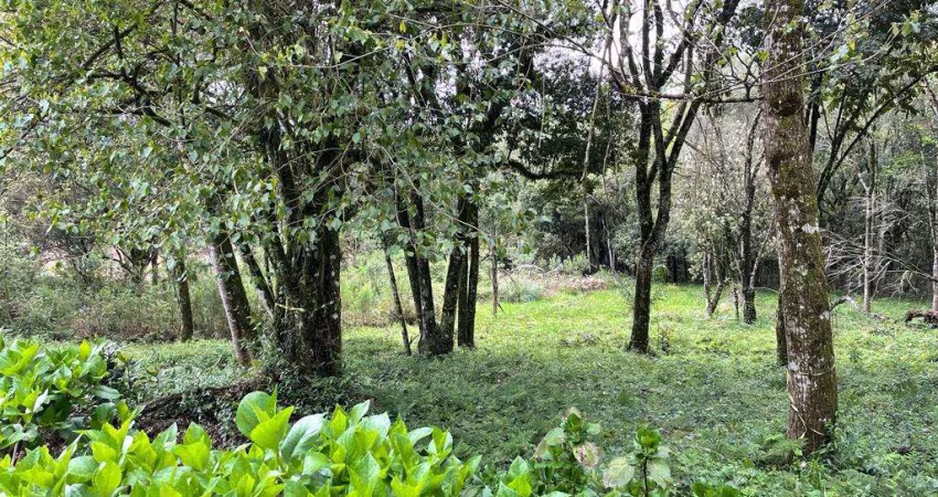 Terreno à venda no Bairro Golf Club com 1410 m² de área privativa