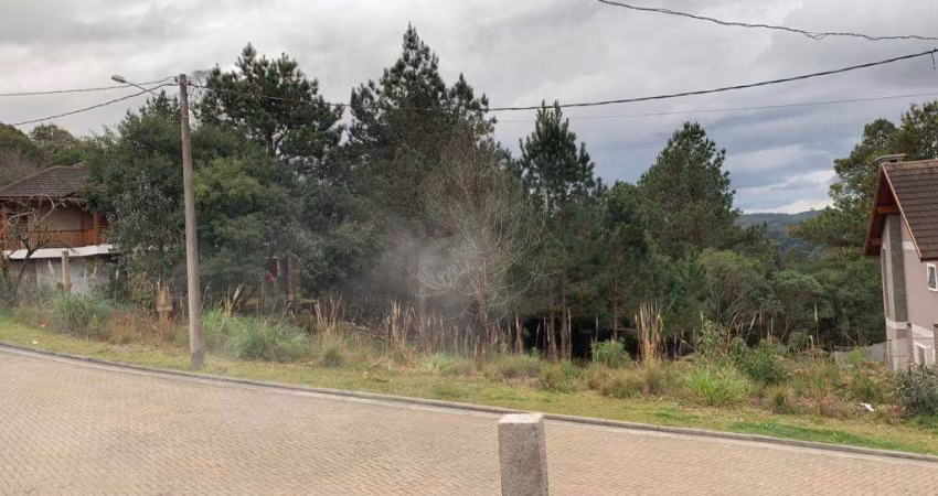 Terreno à venda no Bairro Carniel com 487 m² de área privativa