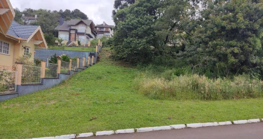 Terreno à venda no Bairro Vale das Colinas com 488 m² de área privativa