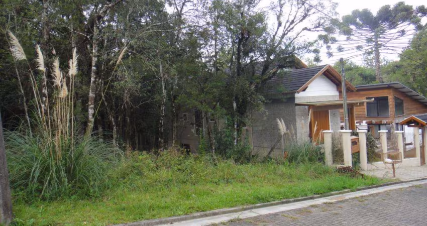Terreno à venda no Bairro Carniel com 414 m² de área privativa