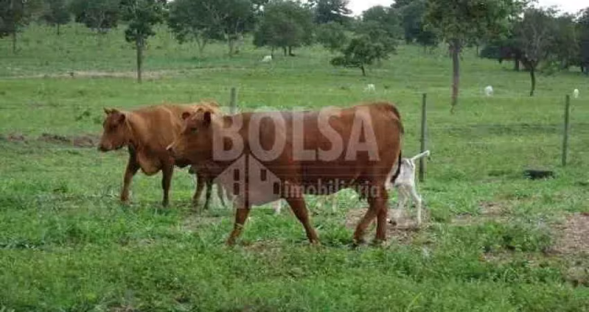 Fazenda à venda na Zona Rural, Avaí 
