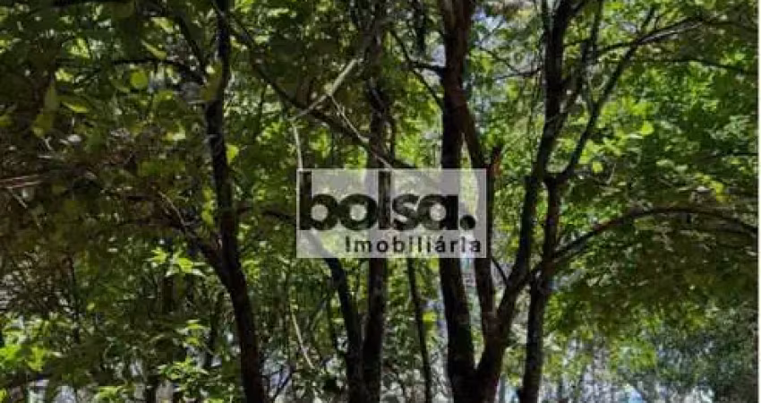 Chácara / sítio com 4 quartos à venda na Zona Rural, Piratininga 