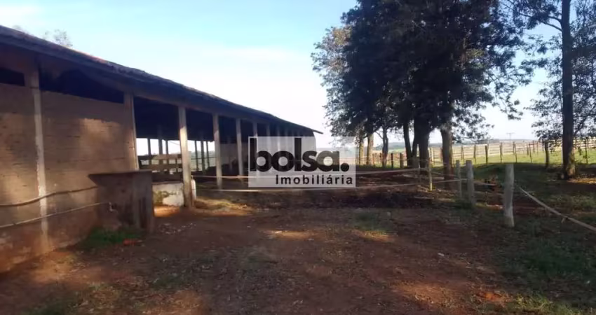 Haras magnifico especializado na cria de quarto de milha para provas de laço e tambor.