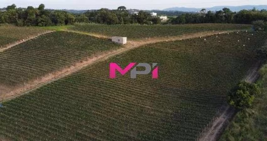 Área a venda Fazenda Grande Jundiai SP