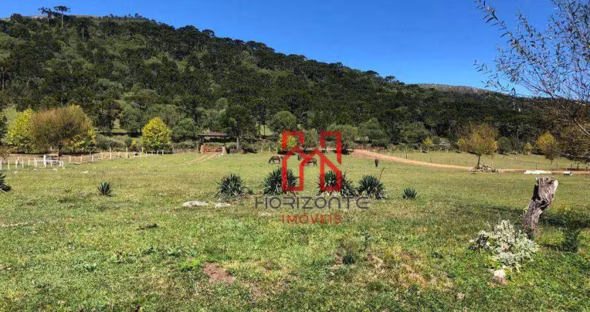 Sítio à venda, 40000 m² por r$ 1.750.000,00 - vacas gordas - urubici/sc
