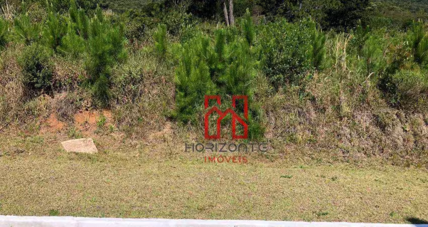 Terreno à venda, 450 m² por r$ 1.459.000,00 - itacorubi - florianópolis/sc
