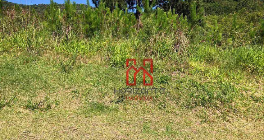 Terreno à venda, 525 m² por r$ 1.481.000,00 - itacorubi - florianópolis/sc