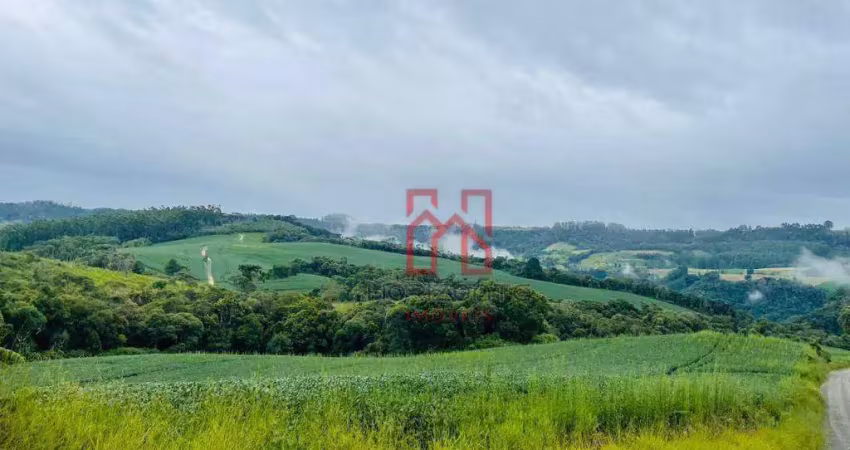 Fazenda à venda, 2300000 m² por r$ 22.500.000,00 - centro - alfredo wagner/sc