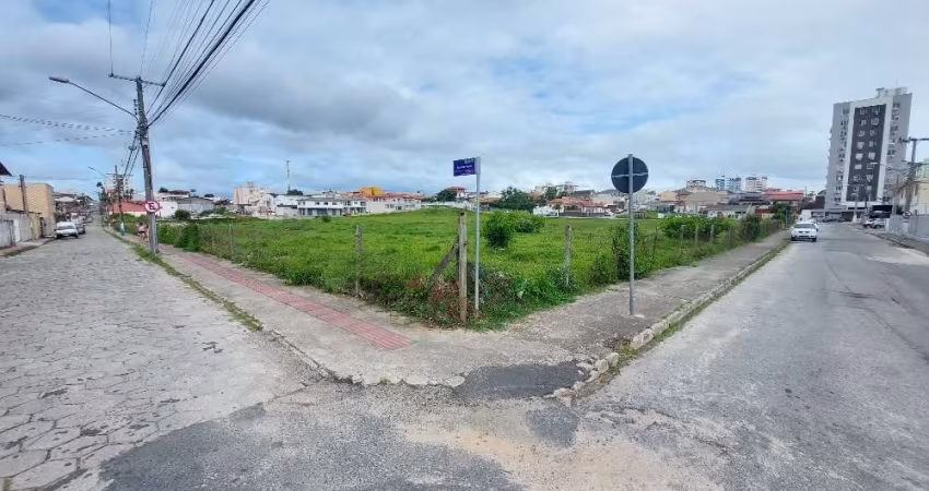 Terreno comercial para alugar na Rua Otto Júlio Malina, Ipiranga, São José