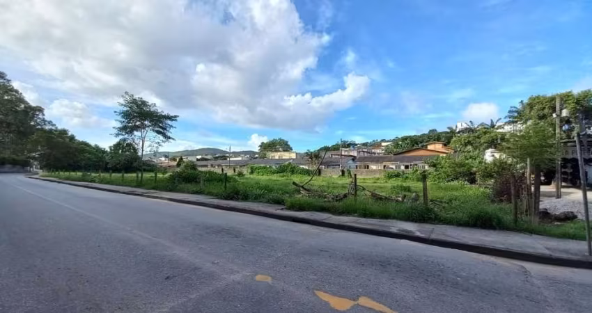 Terreno comercial para alugar na Rua José Antônio Pereira, Potecas, São José