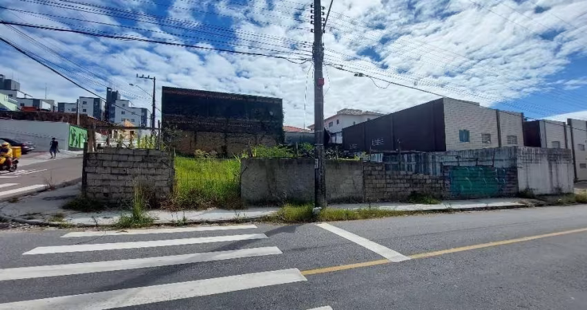 Terreno comercial para alugar na Rua Maria Oliveira, Serraria, São José