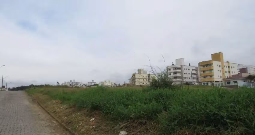 Terreno comercial para alugar na Rua Maria de Lurdes Vieira de Oliveira, Areias, São José