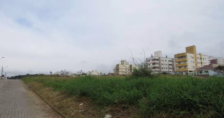 Terreno comercial para alugar na Rua Maria de Lurdes Vieira de Oliveira, Areias, São José