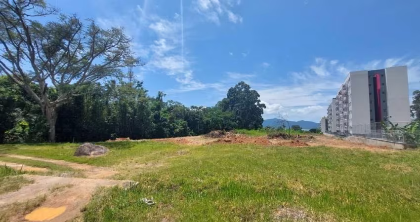 Terreno comercial para alugar na Rodovia BR-101, Praia de Fora, Palhoça