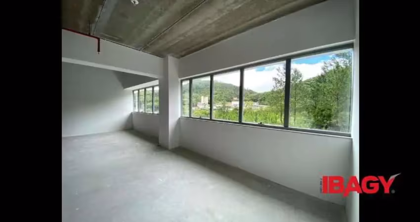 Oportunidade! salas/conjuntos em saco grande - florianópolis