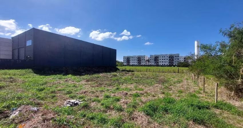 Terreno comercial para alugar na da Tecnologia, Pachecos, Palhoça