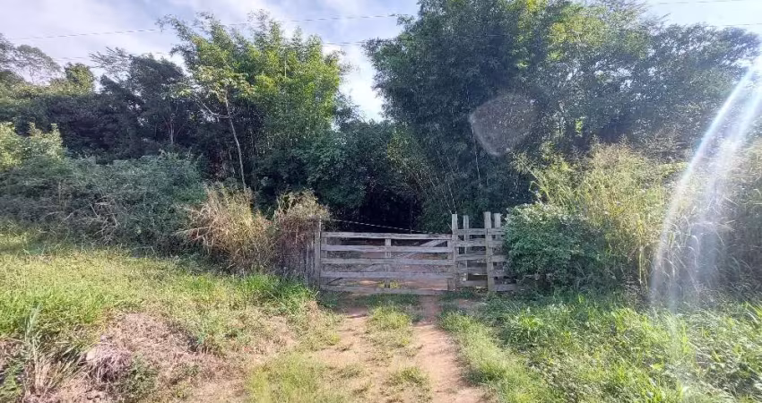 Terreno comercial para alugar na Rodovia BR-101, 97, Praia de Fora, Palhoça