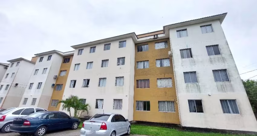 Apartamento com 2 quartos para alugar na Rua 13 de Maio, 4400, Saudade, Biguaçu
