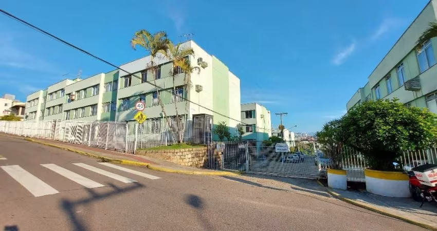 Apartamento com 3 quartos para alugar na Rua Manoel Pizzolati, 65, Jardim Atlântico, Florianópolis