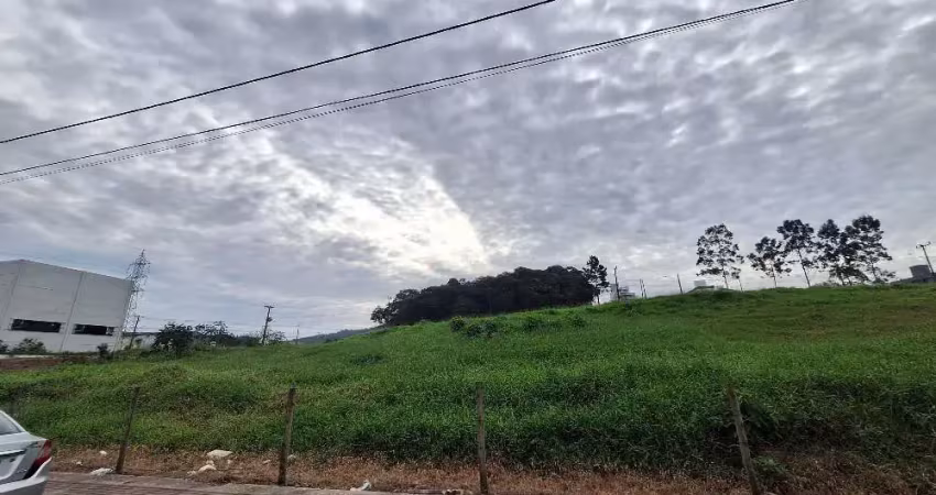 Terreno comercial para alugar na Avenida Osvaldo José do Amaral, 99, Areias, São José