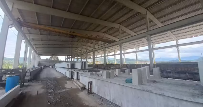 Barracão / Galpão / Depósito para alugar na Alice Cabral, Areias, Paulo Lopes