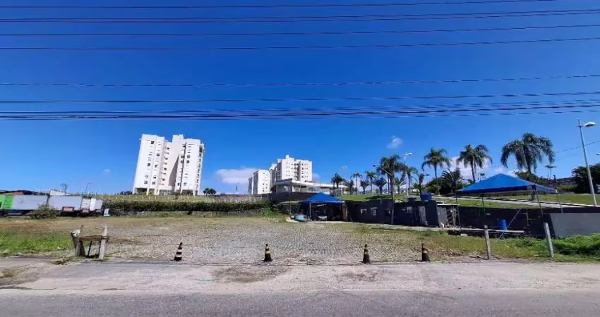Terreno comercial para alugar na Rodovia BR-101, 4065, Serraria, São José