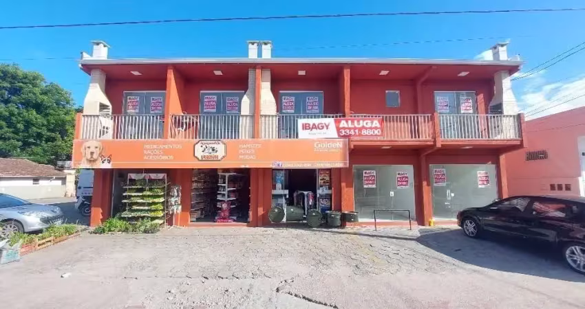 Excelente apartamento 1 dormitório(s) em ponte do imaruim - palhoça
