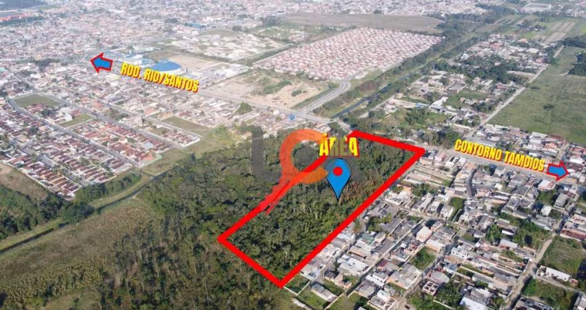 Área à venda, 30200 m² por R$ 1.600.000,00 - Travessão - Caraguatatuba/SP