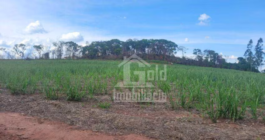 Sítio à venda com 52 Alqueires por R$ 5.800.000 - Zona Rural - Tambaú/SP